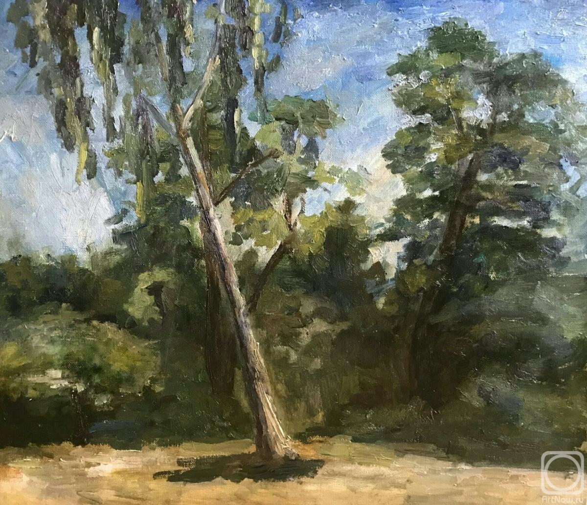 ������� ������ �� ������. ���������� �������. ����