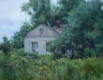 Abandoned house (Surrounded With Trees). Dragin Igor