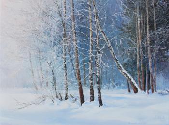 Winter forest in frost. Vokhmin Ivan