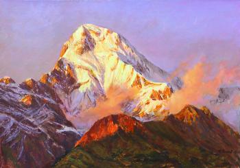 ����������