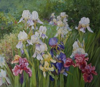 Irises. Panov Eduard