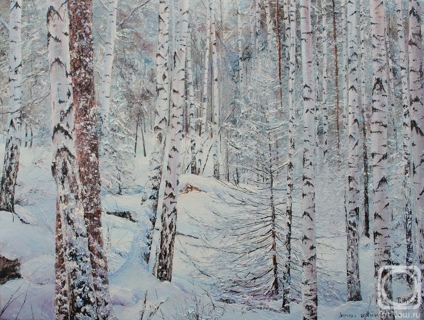 Vokhmin Ivan. Winter birch grove