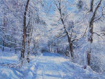 Winter forest road. Vokhmin Ivan