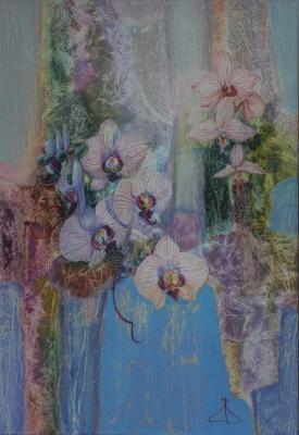 Orchids. Dolinsky Vadim