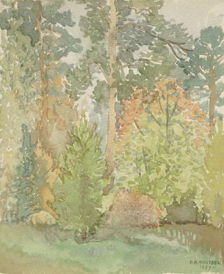 Pine trees. Chistova Olga