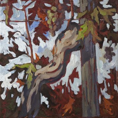 ������� � ����. ������. ���� �����