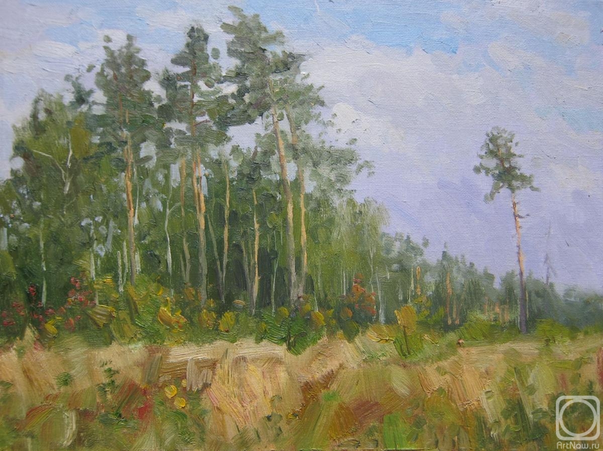 Chertov Sergey. Pine trees on the edge of the forest