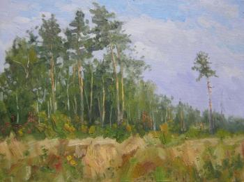 Pine trees on the edge of the forest. Chertov Sergey
