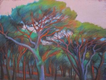 Painting Pines, sunset. Dobrovolskaya Gayane