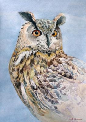 Eagle owl. Norenko Anastasya