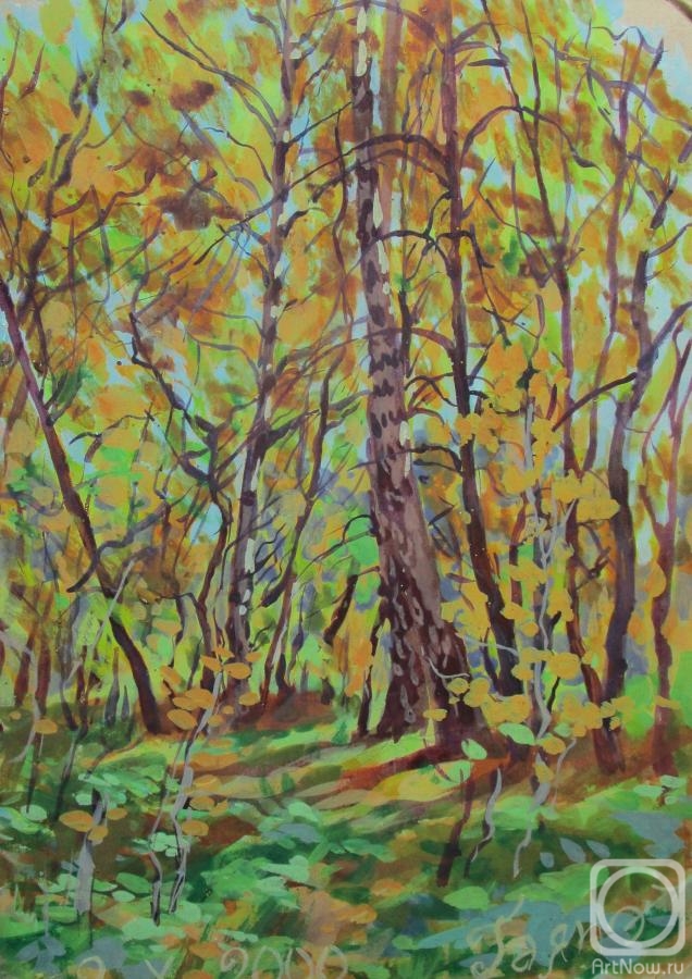 Dobrovolskaya Gayane. Autumn, forest, sun, the second of October