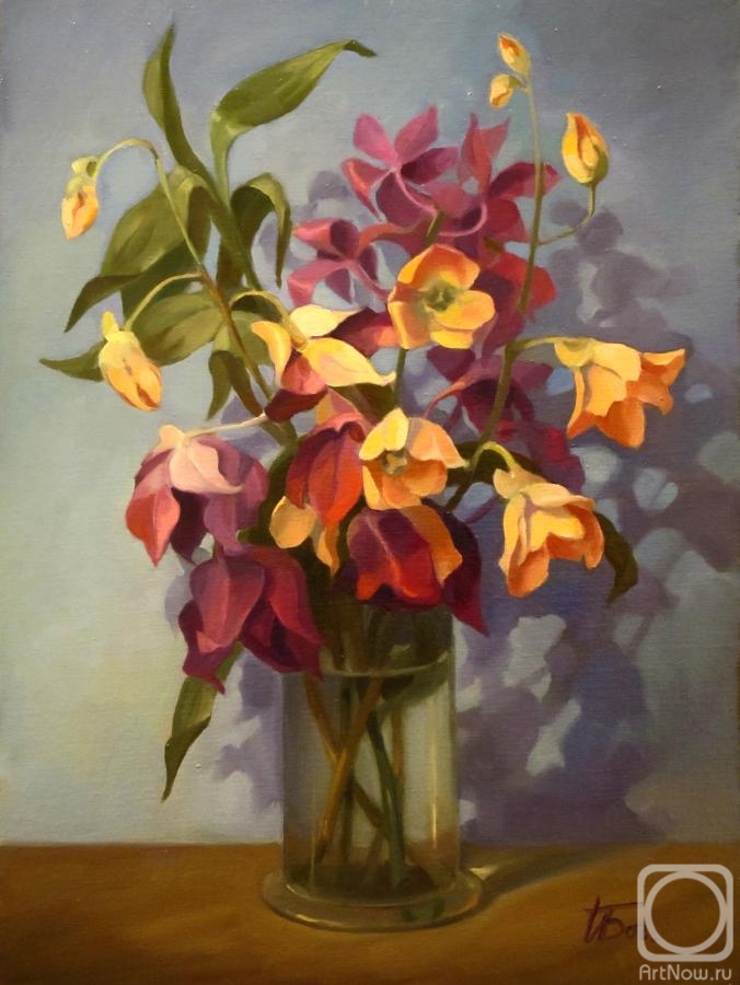 Bogdanova Irina. Orchids