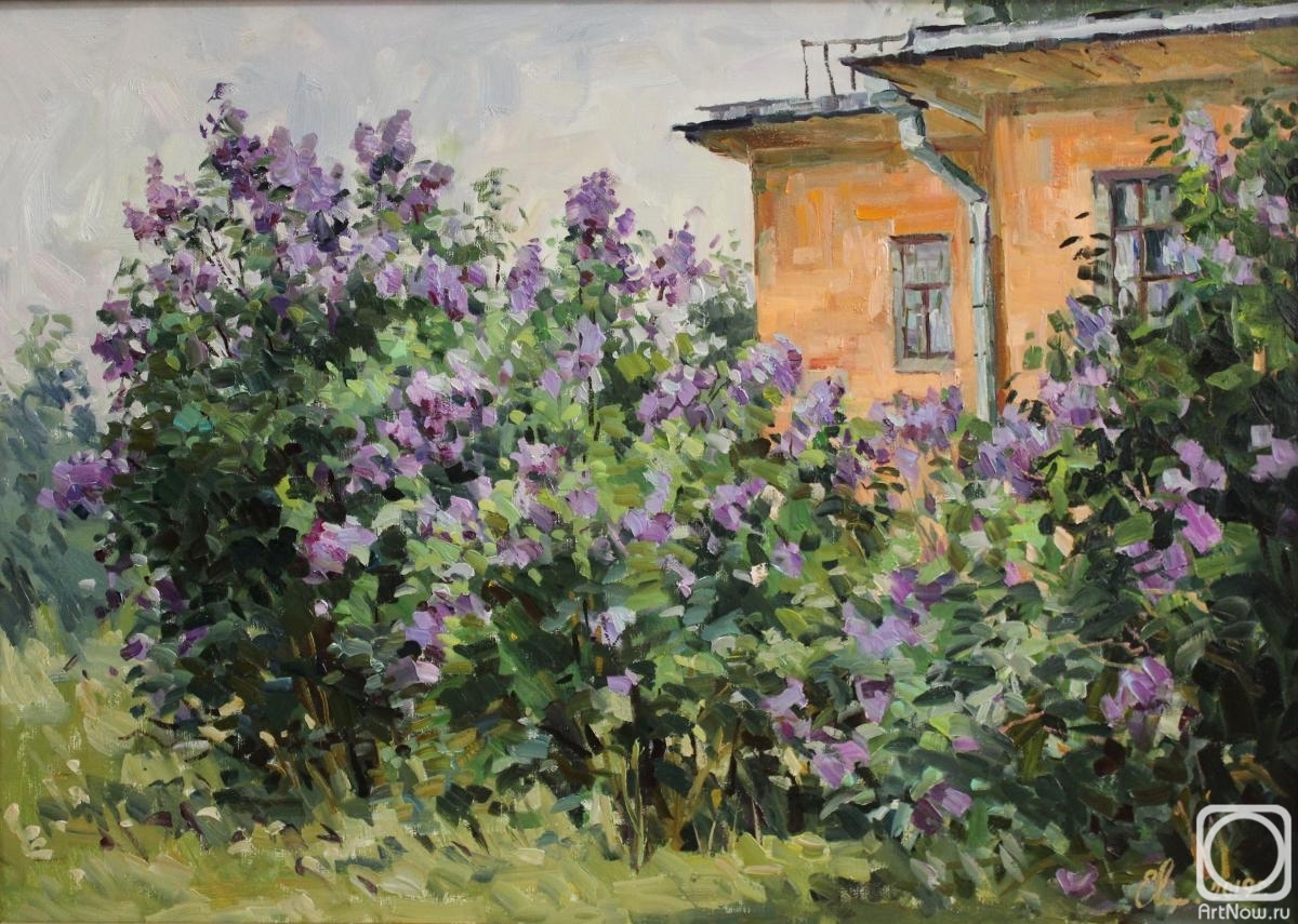 Malykh Evgeny. Lilac is blossoming