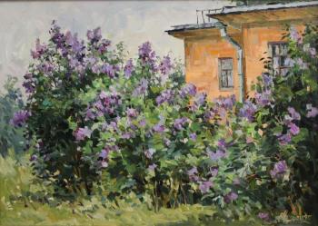 Lilac is blossoming. Malykh Evgeny
