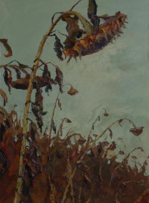 ������� ������������