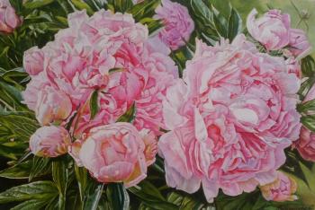 ������� �������� ������