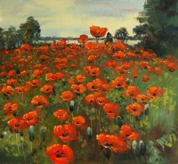 Painting Poppy Field. Kremer Mark