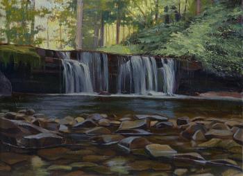 ������� � ����. ���������� ���������