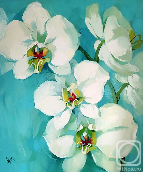 ������� ������ �� ������. ��������� ����. �������