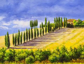 Hot Tuscany. Cypresses. Kamskij Savelij