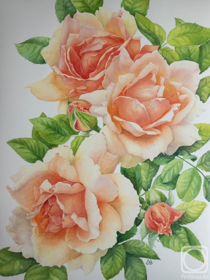 �������. ���������� �����. ظ��� ���