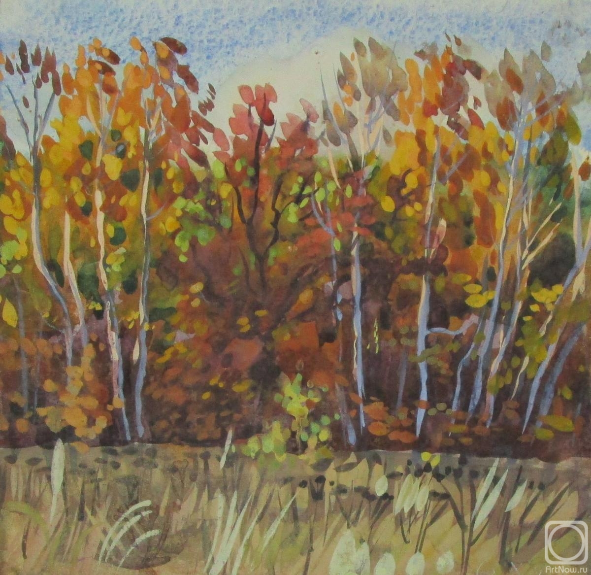 Dobrovolskaya Gayane. Oak and birches at the edge of the forest, October