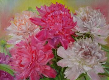 Peonies pink and white