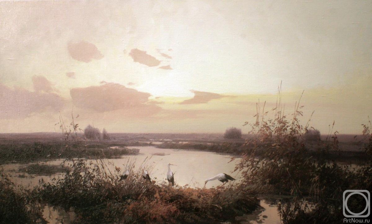 Pryadko Yuri. Herons in the swamp