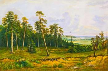 A copy of the picture by Ivan Shishkin. Rich log. Fir forest on the Kama River. Kamskij Savelij