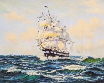 Sailboat. Conquering the waves. Lagno Daria