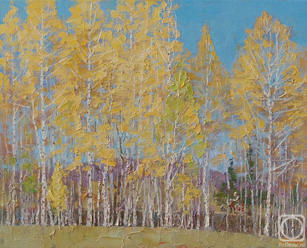 Panov Igor. Among the autumn birches