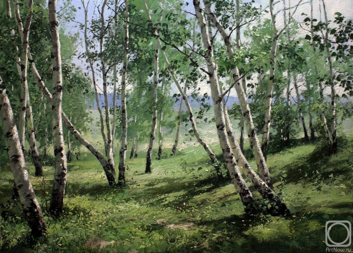 Pryadko Yuri. Birch trees on slope