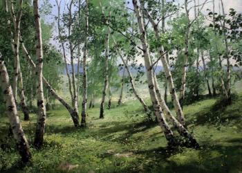 Birch trees on slope. Pryadko Yuri