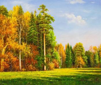 Autumn forest in the sunshine. Romm Alexandr