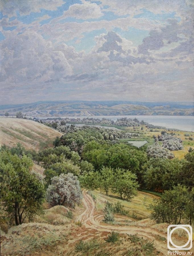 Soldatenko Andrey. The view of the river Volga, Stepnoe