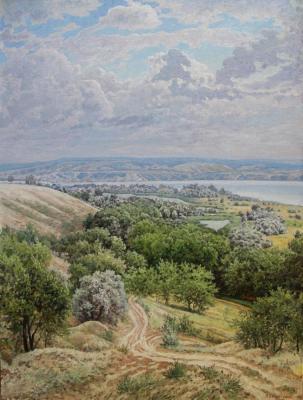The view of the river Volga, Stepnoe. Soldatenko Andrey