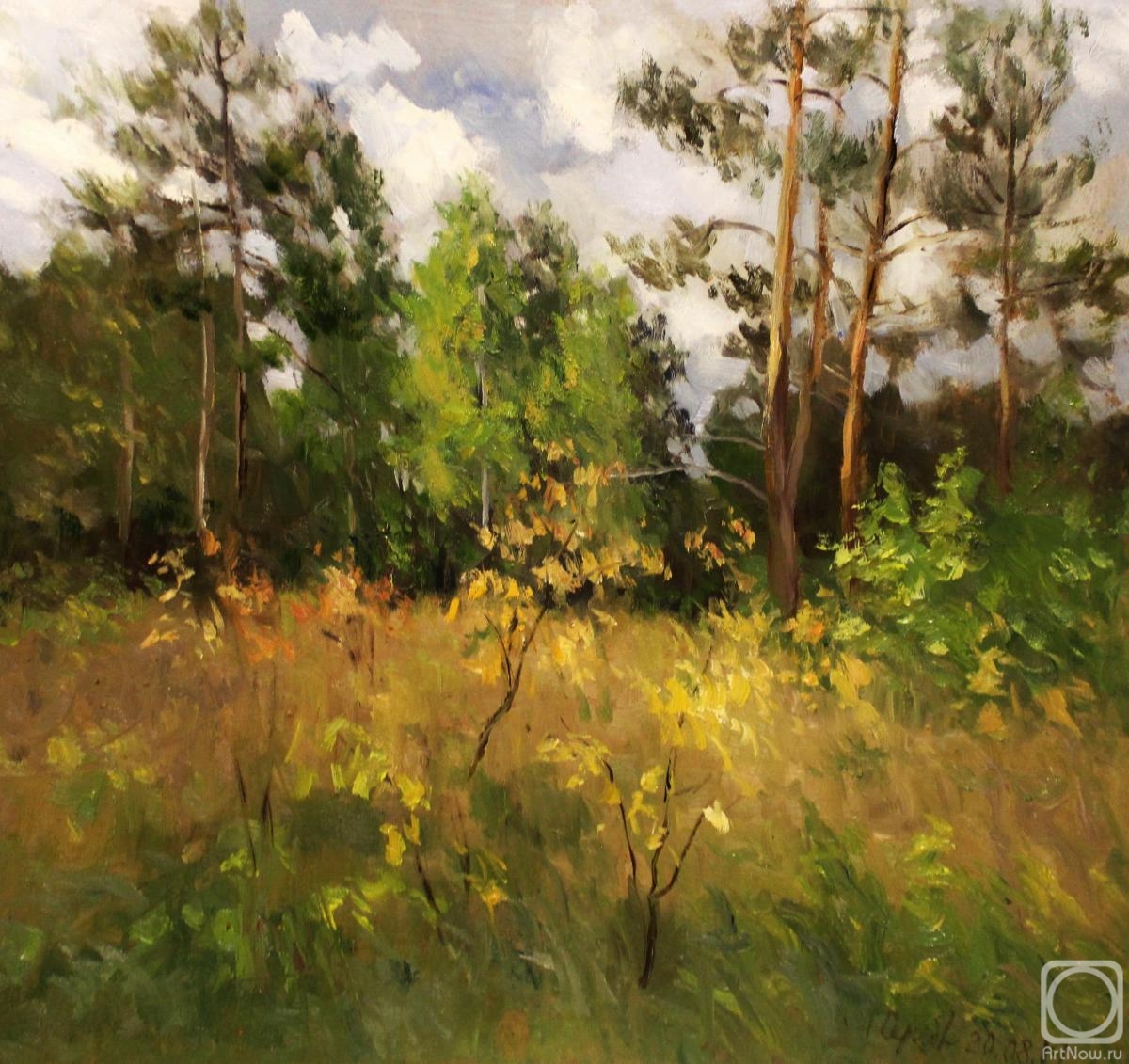 �������. �������������� ������. ���� � ������ �����������