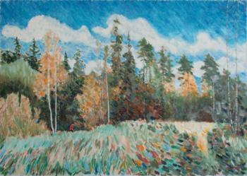 Forest near the village of Plotavtsevo, Vladimir region, in autumn. Filiykov Alexander