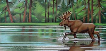 Moose went swimming