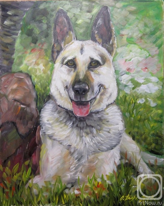 Balakina Olga. Dog Cora