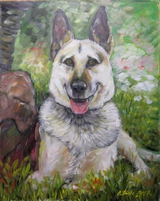 Dog Cora. Balakina Olga