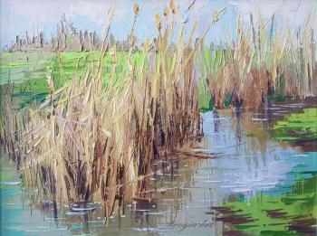 Reeds (Watercourse). Latipova Nigora