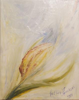 ������� �Y.K.L�