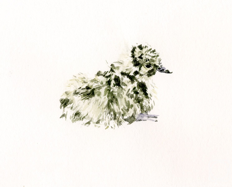 �������. ������� ����. ������