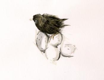 ������� ��������