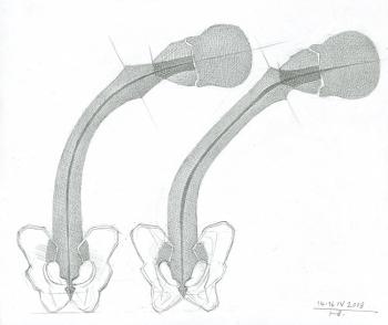 Spine Curvature (in Frontal Plane). Yudaev-Racei Yuri