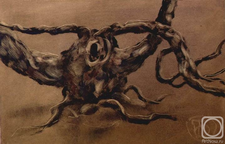 �������. ������� �����. �����������