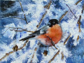 ������� ���������