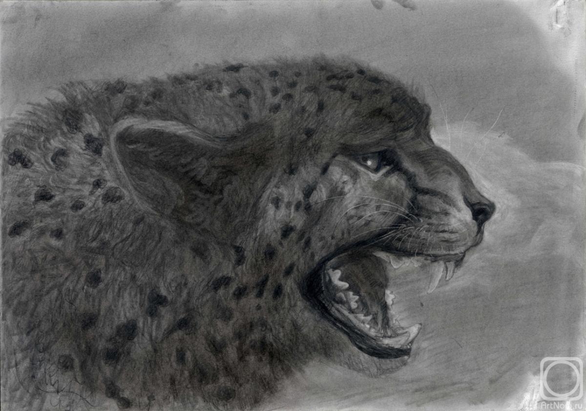 Dementiev Alexandr. Cheetah with open mouth