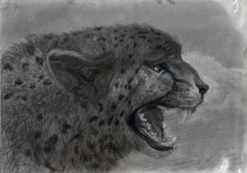 Cheetah with open mouth. Dementiev Alexandr